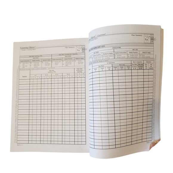 Counting Objects Book 1 Kathy Richardson 45 Student Forms Assessing Math Concept - Picture 4 of 14